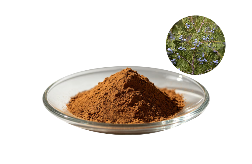 Juniper Berry Extract